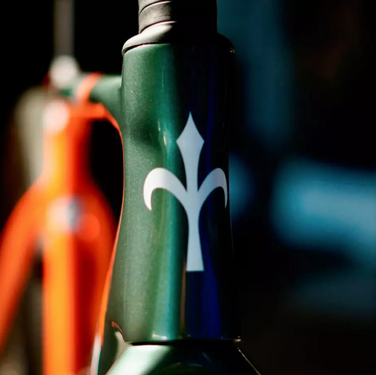 WILIER Rave SLR GRX Di2 1x