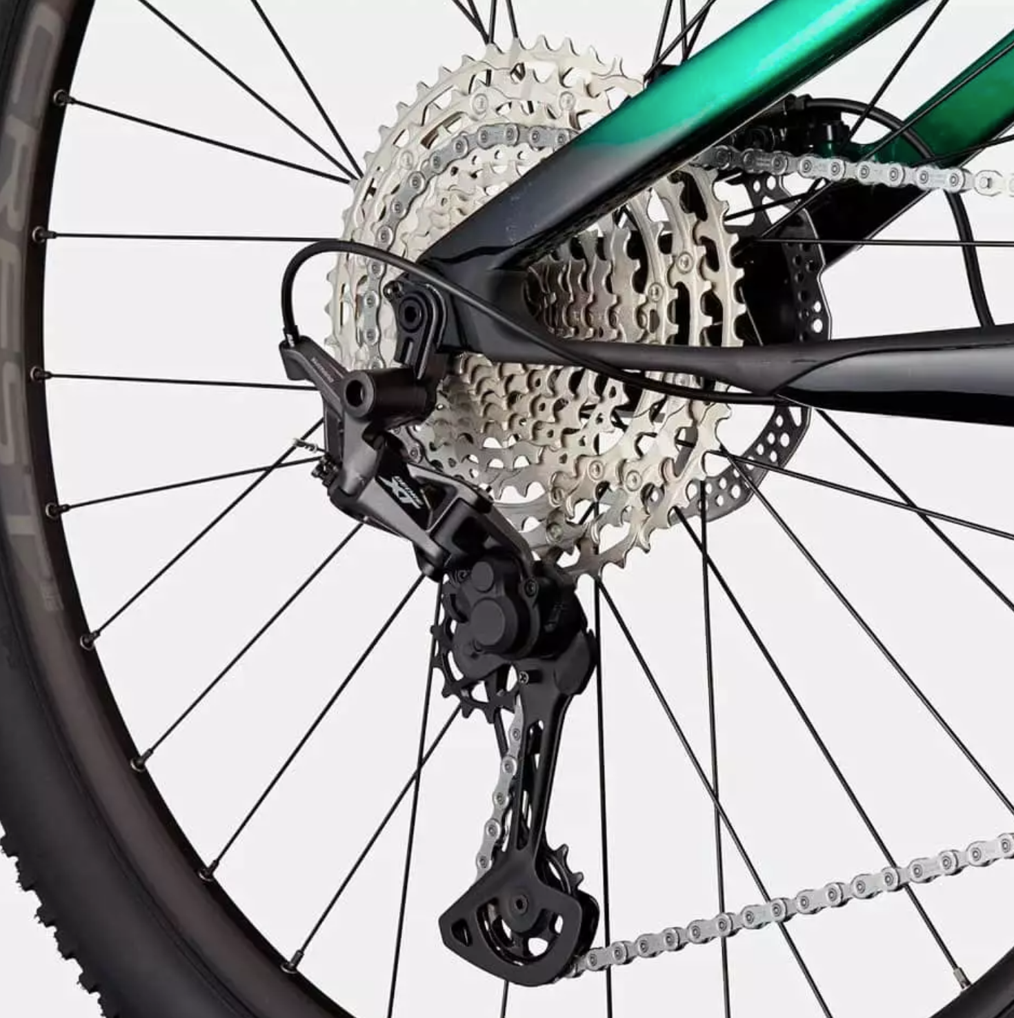 CANNONDALE Scalpel Carbon 4 Jungle