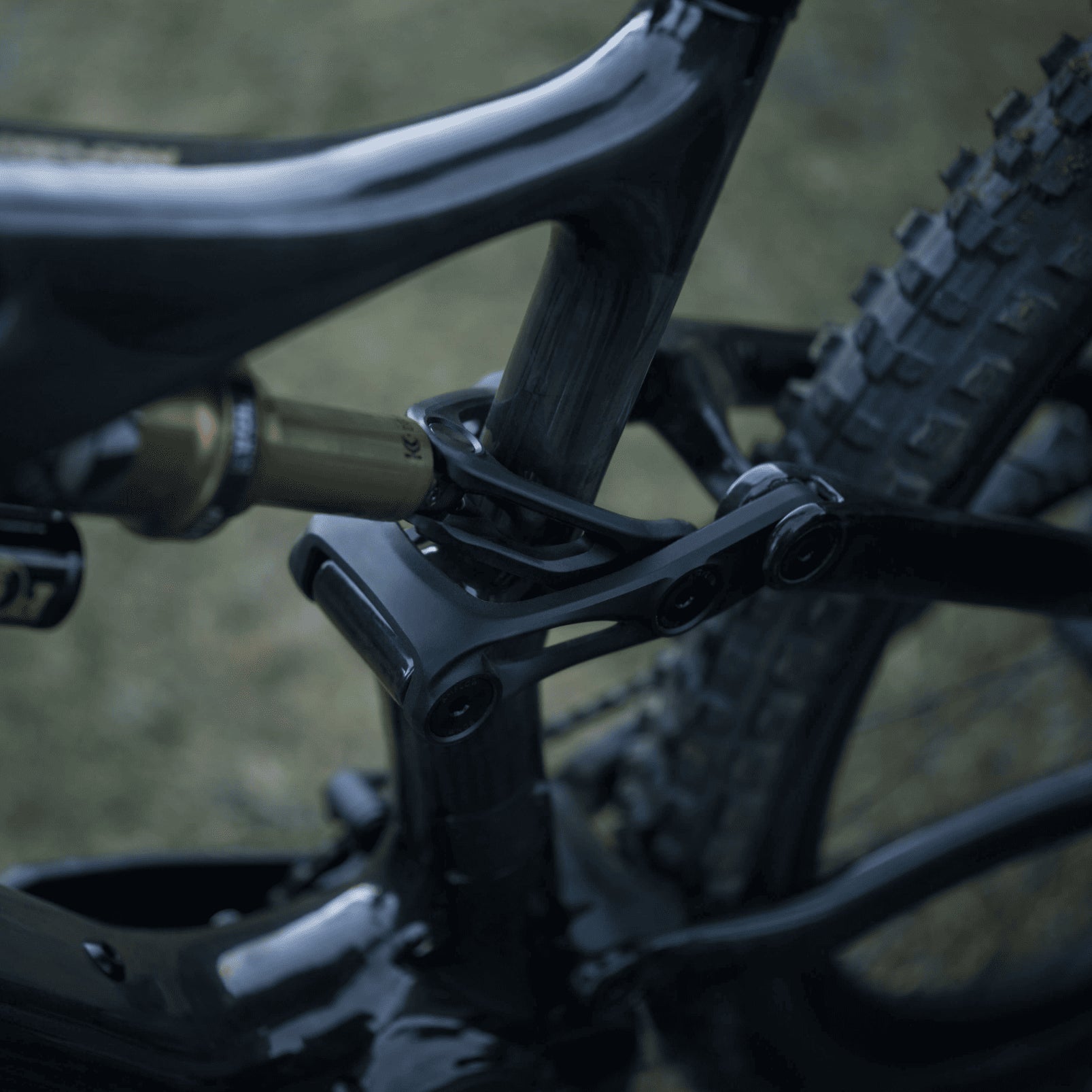 Amflow PL Carbon Pro 800Wh 2025